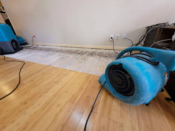 Professional Water Damage Repair technician working in Gauley Bridge, WV